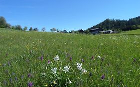 Bauernhof Ablass